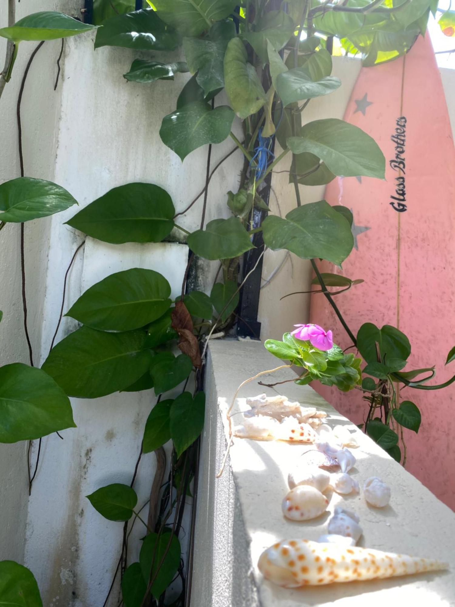Maavaharu Guest House Himmafushi Exterior foto